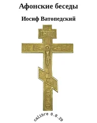 Иосиф Ватопедский - Афонские беседы