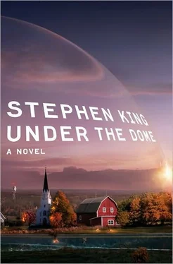 Stephen King Under the Dome обложка книги