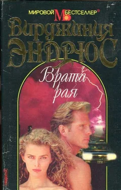 Вирджиния Эндрюс Врата рая обложка книги