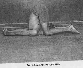 35 УРДХВА ПАДМАСАНА В Урдхва Падмасане четырнадцать виньяс девятая винья - фото 57