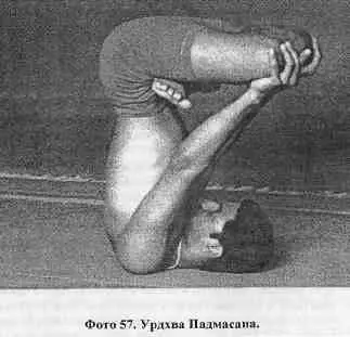 35 УРДХВА ПАДМАСАНА В Урдхва Падмасане четырнадцать виньяс девятая виньяса - фото 58