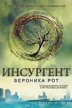 Вероника Рот Инсургент обложка книги