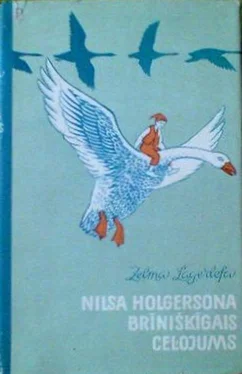 Zelma Lāgerlefa Nilsa Holgersona brīnišķīgais ceļojums обложка книги