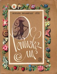 Иоганн Гете - Рейнеке-лис