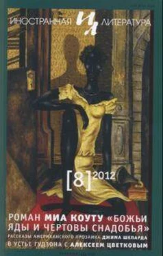 Алексей Цветков В устье Гудзона с Алексеем Цветковым обложка книги