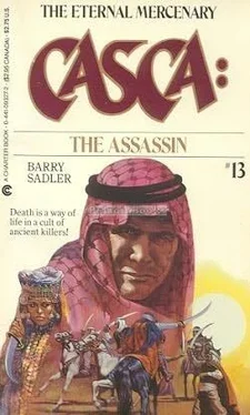 Barry Sadler The Assassin обложка книги