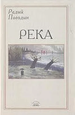 Радий Погодин Река (сборник) обложка книги