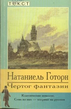 Натаниель Готорн Чертог фантазии. Новеллы обложка книги