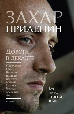 Захар Прилепин Дорога в декабре обложка книги