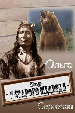 Ольга Сергеева Бар «У старого медведя» обложка книги