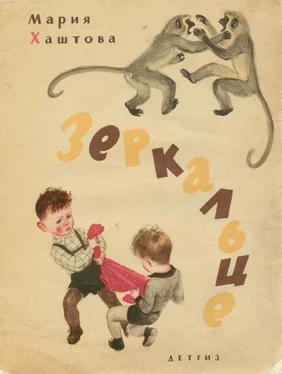 Мария Хаштова Зеркальце обложка книги