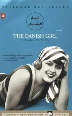 David Ebershoff The Danish Girl обложка книги