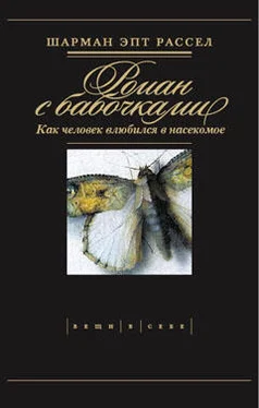 Шарман Рассел Роман с бабочками обложка книги