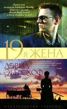 Дэвид Эберсхоф 19-я жена обложка книги