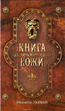 Мишель Ловрик Книга из человеческой кожи [HL] обложка книги