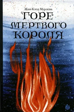 Жан-Клод Мурлева Горе мертвого короля обложка книги