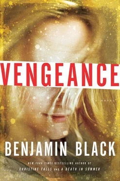 Benjamin Black Vengeance обложка книги