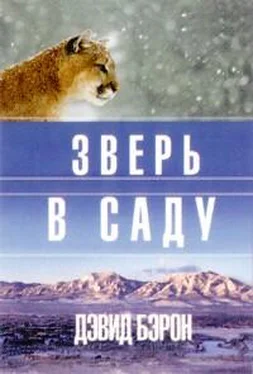 Дэвид Бэрон Зверь в саду обложка книги