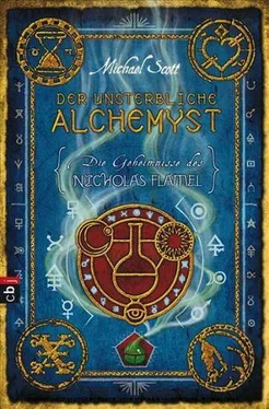 Майкл Скотт Der unsterbliche Alchemyst обложка книги