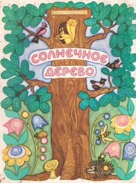 Сергей Афоньшин Солнечное дерево обложка книги