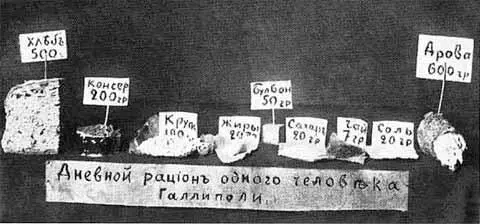 Паек галлиполийца в марте 1921 года Детский сад и гимназия имени барона - фото 47