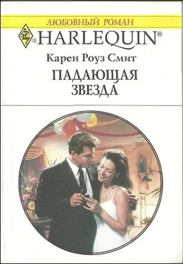 Карен Смит Падающая звезда обложка книги