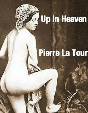 Pierre Tour Up in Heaven обложка книги