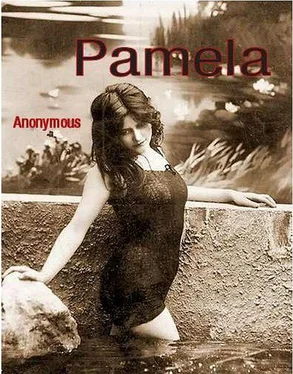 Anonymous Pamela обложка книги