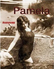 Anonymous - Pamela