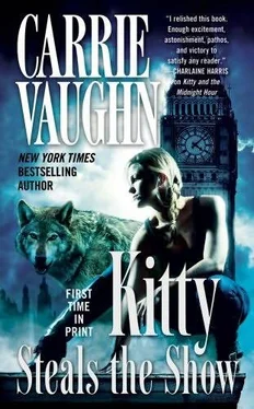 Carrie Vaughn Kitty Steals the Show обложка книги