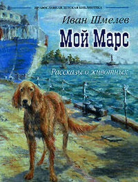 Иван Шмелев Мой Марс обложка книги