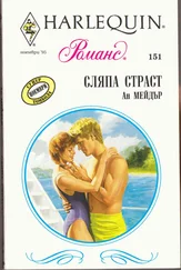 Ан Мейдър - Сляпа страст