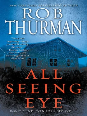 Rob Thurman All Seeing Eye обложка книги