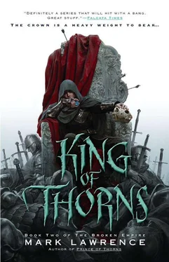 Mark Lawrence King of Thorns обложка книги