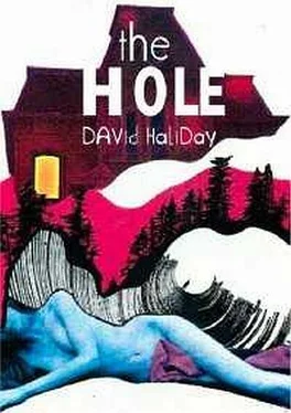 David Halliday The Hole обложка книги