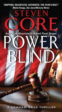 Steven Gore Power Blind обложка книги