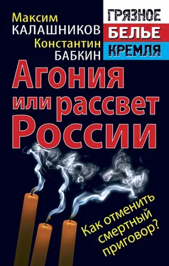 Максим Калашников Агония или рассвет России. Как отменить смертный приговор? обложка книги