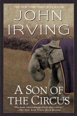 John Irving A Son of the Circus обложка книги