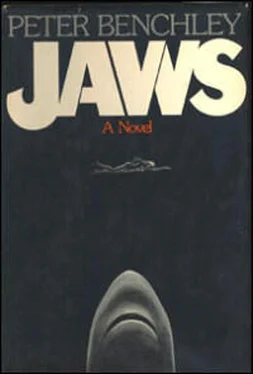 Peter Benchley Jaws обложка книги