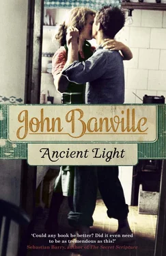 John Banville Ancient Light обложка книги