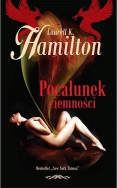 Laurell Hamilton Pocałunek Ciemności обложка книги