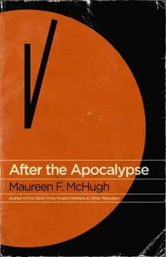 Maureen McHugh After the Apocalypse обложка книги