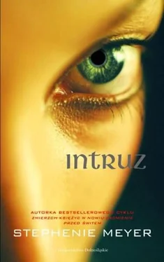 Stephenie Meyer Intruz обложка книги