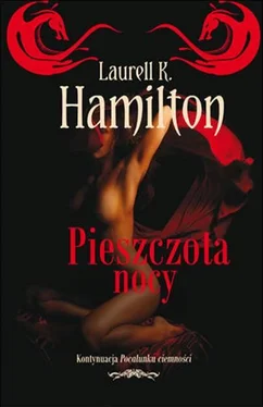 Laurell Hamilton Pieszczota Nocy обложка книги