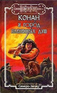 Роберт Говард Чёрная тень обложка книги