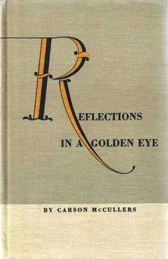 Карсон Маккалерс Отражения в золотом глазу обложка книги