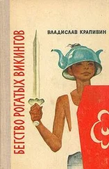 ddrakoshaa - o f8584337f830f4e2