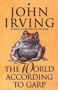 John Irving The World According to Garp обложка книги