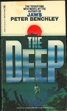 Peter Benchley The Deep обложка книги