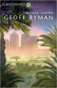 Geoff Ryman The Child Garden обложка книги